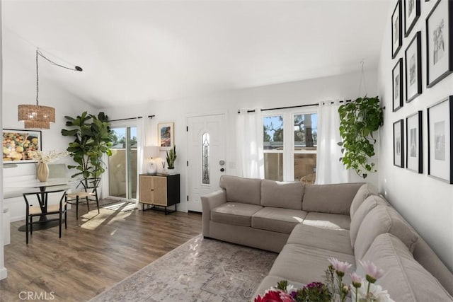 living room with lofted ceiling and wood finished floors