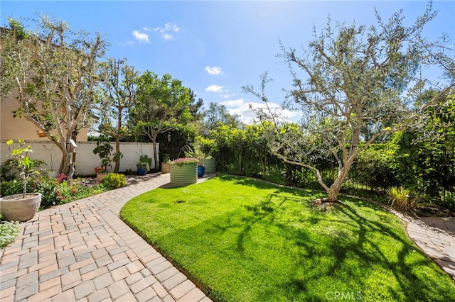 106 Via Sabinas, San Clemente, CA 92673 - view of yard featuring a patio area