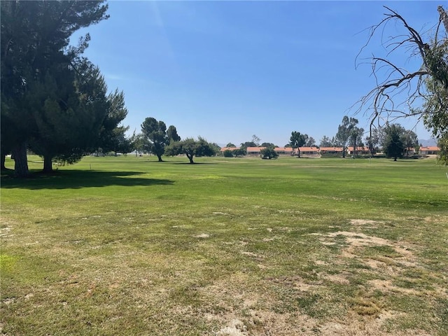 view of property's community featuring a yard