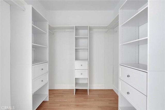 spacious closet with light wood finished floors