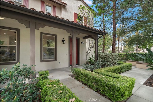 property entrance featuring a porch and stucco siding