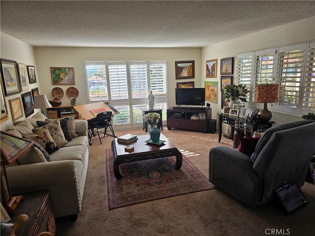 carpeted living area featuring a textured ceiling