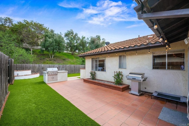 view of yard featuring exterior kitchen, a patio area, and a fenced backyard