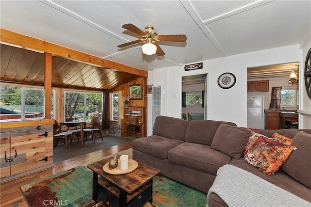 living room with lofted ceiling with beams, ceiling fan, and wood finished floors