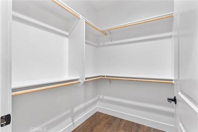 spacious closet featuring dark wood-style floors