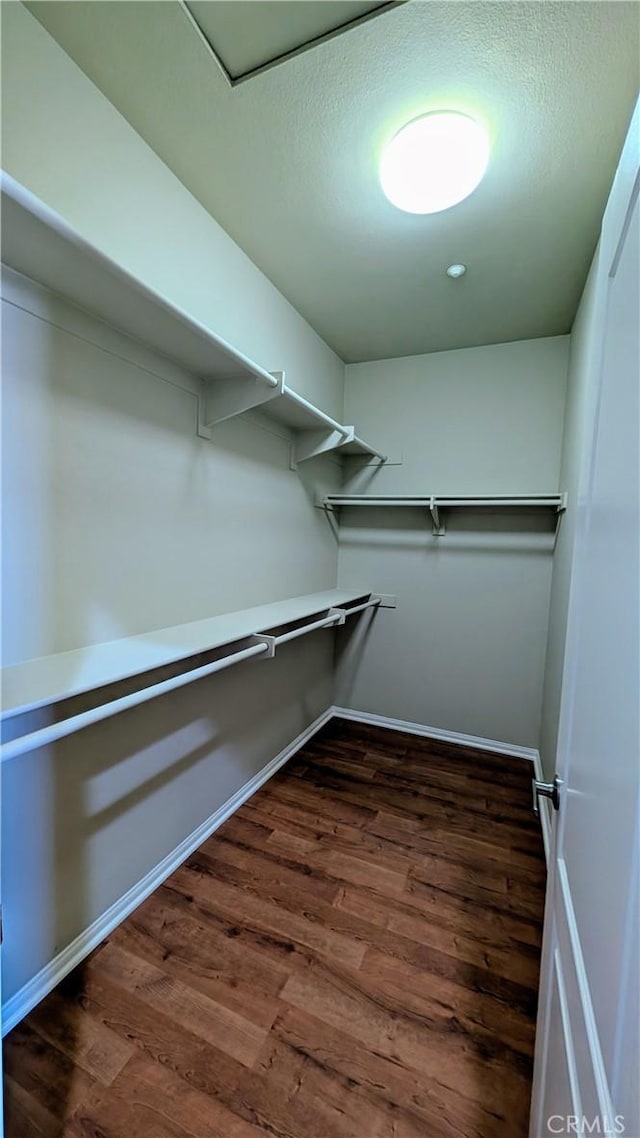 spacious closet featuring dark wood finished floors