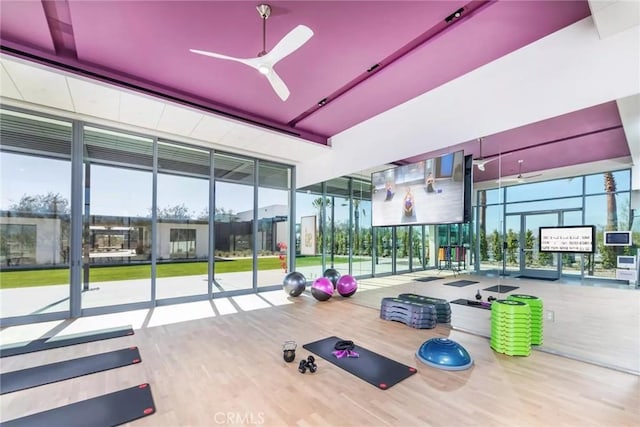 exercise room featuring expansive windows, a ceiling fan, and wood finished floors