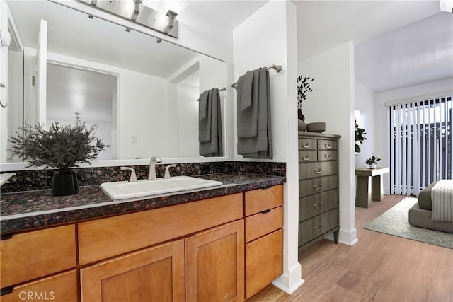 bathroom featuring wood finished floors and vanity