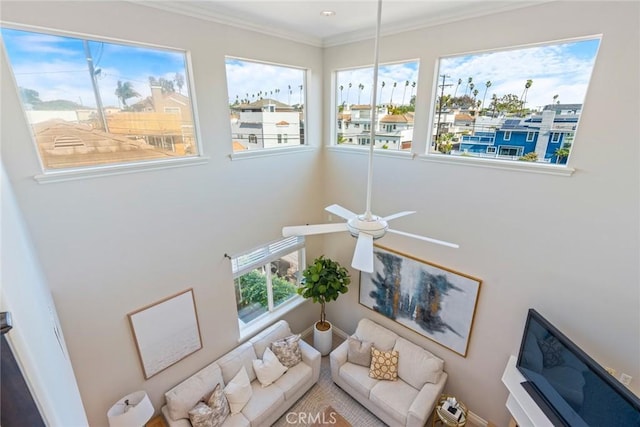 living room with crown molding and ceiling fan