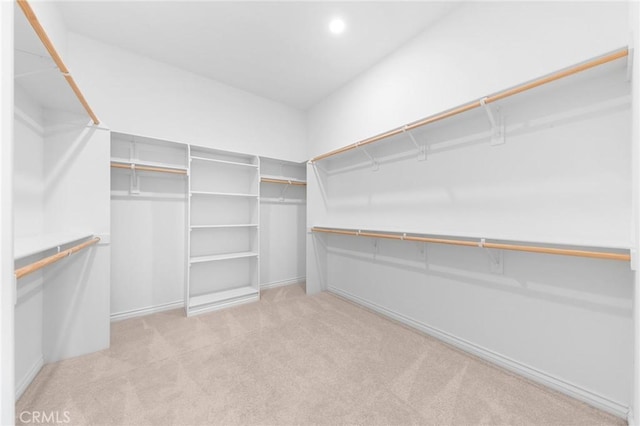 walk in closet featuring carpet