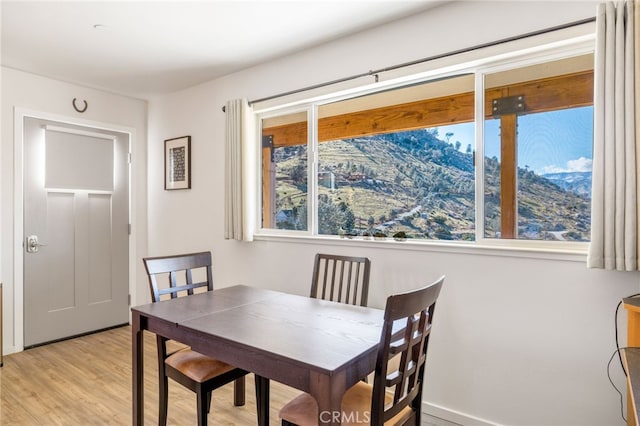 dining room featuring light wood finished floors