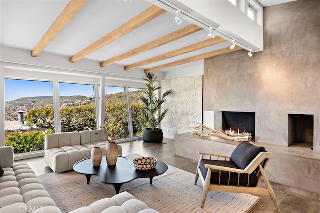 living area with rail lighting, beam ceiling, plenty of natural light, and a premium fireplace