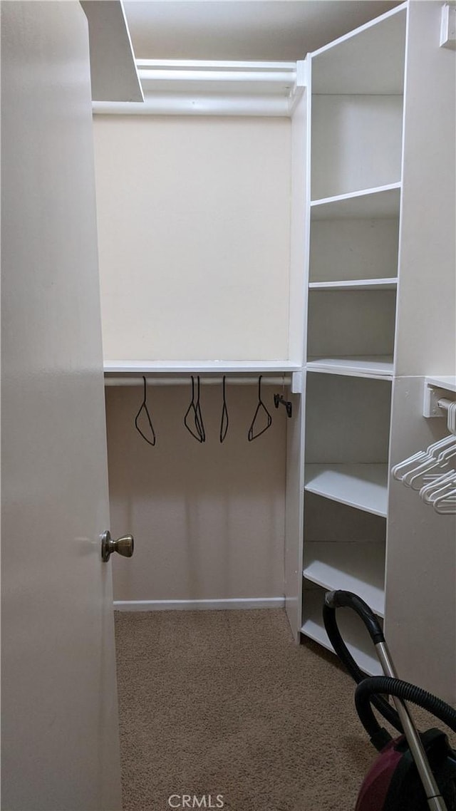 spacious closet with carpet