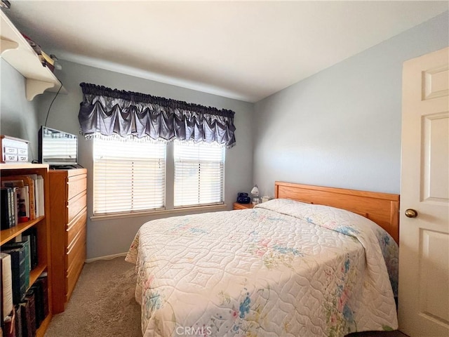 bedroom with carpet