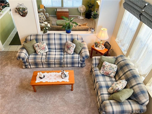 carpeted living area with tile patterned flooring