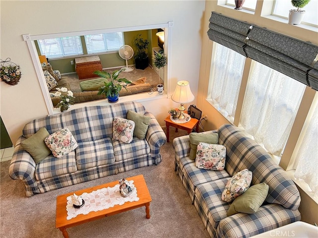 view of carpeted living area