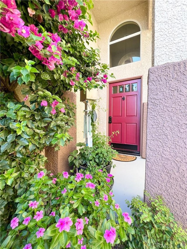 doorway to property with stucco siding