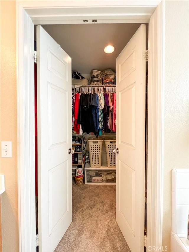 spacious closet featuring carpet