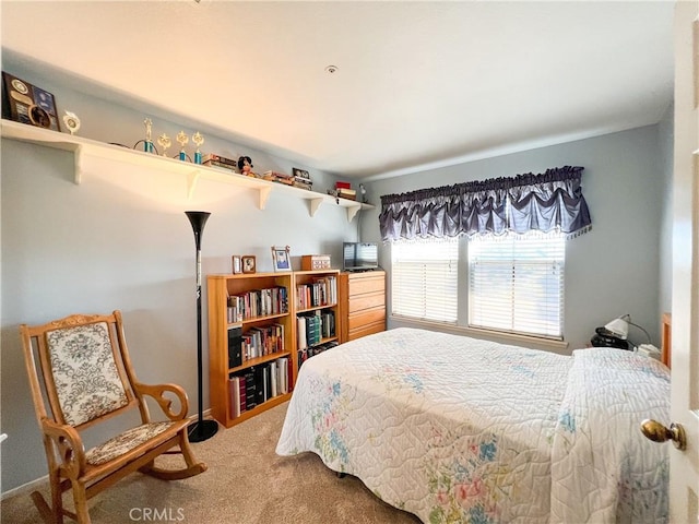 bedroom featuring carpet flooring