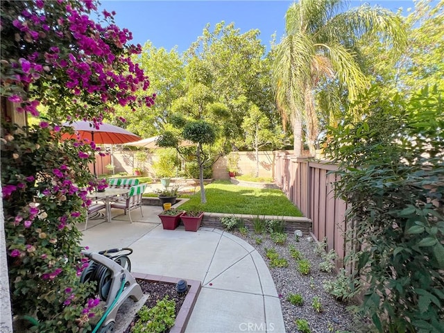 view of yard with a patio area and a fenced backyard