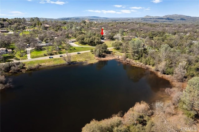 birds eye view of property with a water view and a view of trees