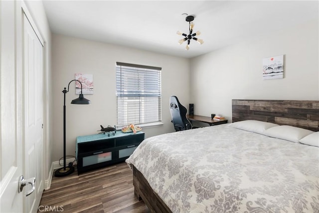 bedroom featuring dark wood finished floors and a closet