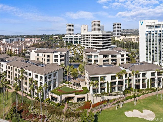aerial view