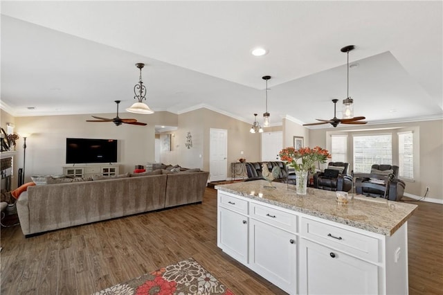 kitchen featuring lofted ceiling, dark wood-style floors, open floor plan, and ceiling fan