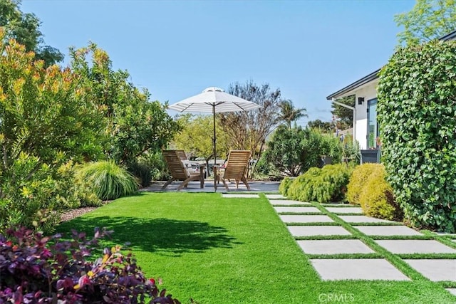 view of yard with a patio area