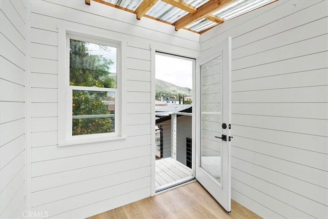 entryway with plenty of natural light, wood walls, and light wood-style floors