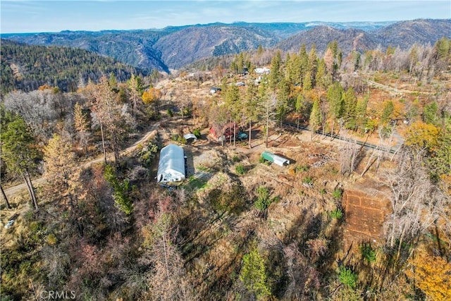 aerial view featuring a mountain view and a forest view