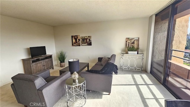 living room with a textured ceiling