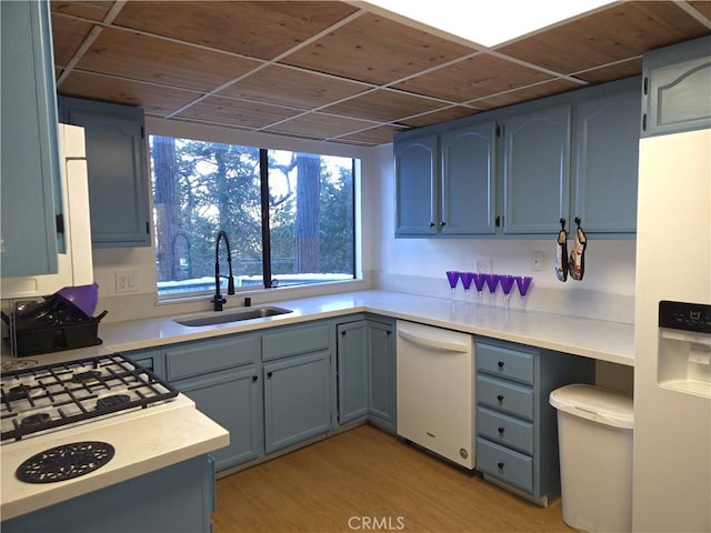 kitchen with light countertops, light wood-style floors, white appliances, blue cabinets, and a sink