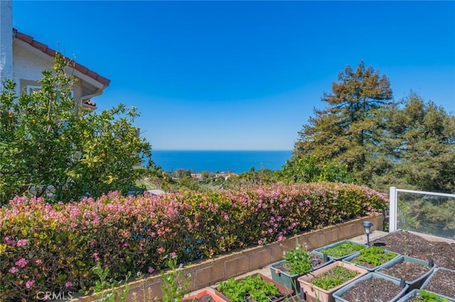 view of yard featuring a water view, a garden, and fence