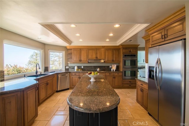 kitchen featuring open shelves, stainless steel appliances, a sink, and a raised ceiling