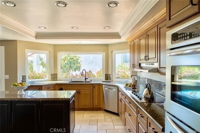 kitchen featuring a raised ceiling, appliances with stainless steel finishes, a sink, dark stone countertops, and under cabinet range hood