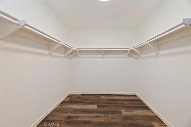 spacious closet featuring dark wood-style flooring