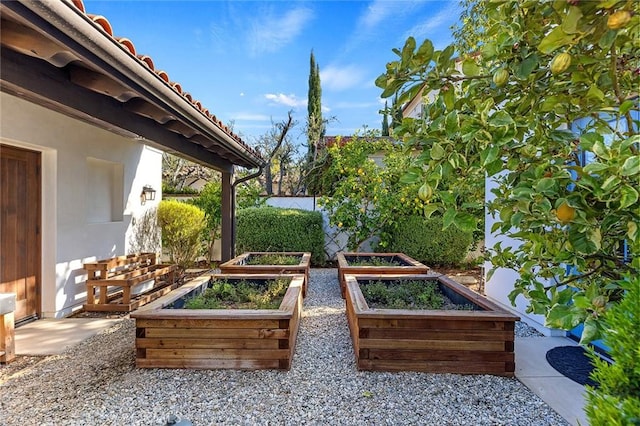 view of yard featuring a vegetable garden