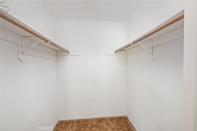 43317 Running Deer Ct, Coarsegold, CA 93614 - walk in closet with carpet floors