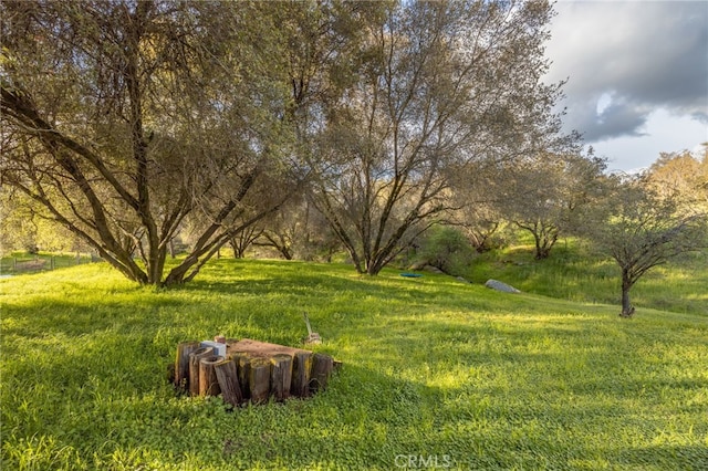 43317 Running Deer Ct, Coarsegold, CA 93614 - view of green lawn