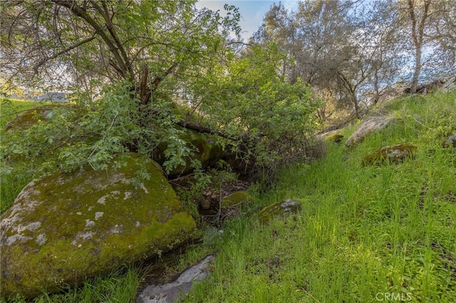43317 Running Deer Ct, Coarsegold, CA 93614 - view of undeveloped land