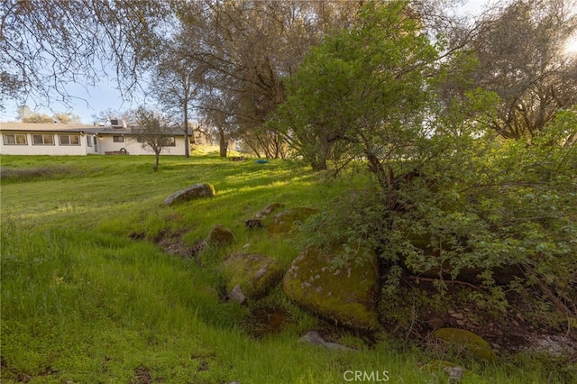 43317 Running Deer Ct, Coarsegold, CA 93614 - view of yard