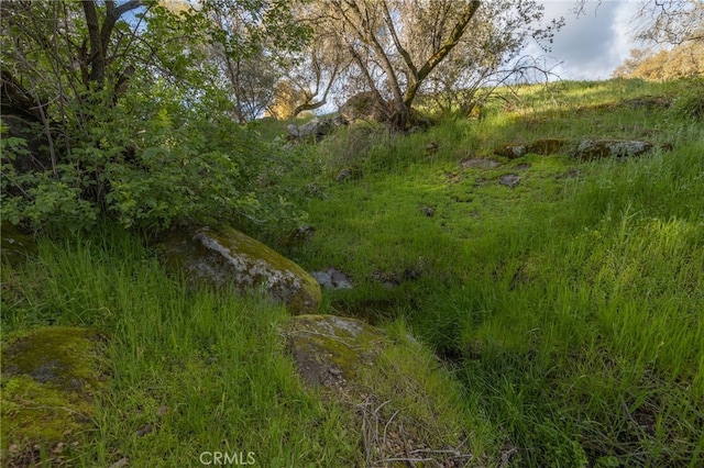 43317 Running Deer Ct, Coarsegold, CA 93614 - view of yard
