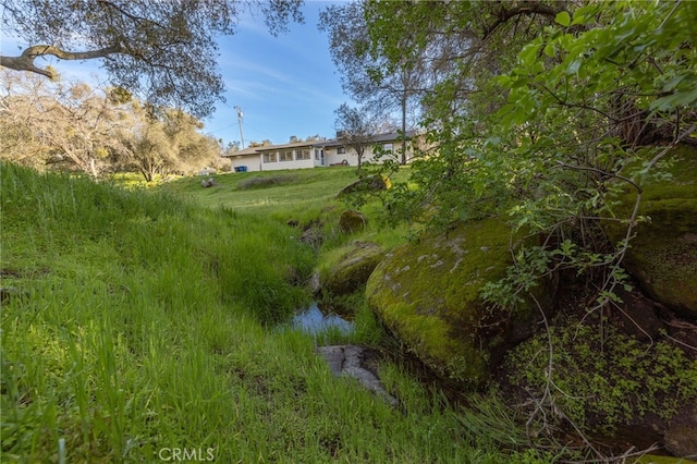 43317 Running Deer Ct, Coarsegold, CA 93614 - view of yard