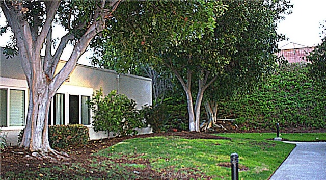3001C Via Buena Vis Unit C, Laguna Woods, CA 92637 - view of grassy yard