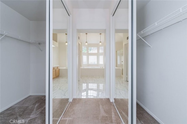 spacious closet with carpet flooring