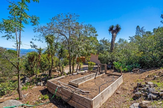 view of yard featuring a vegetable garden