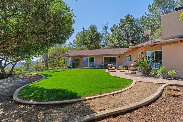 back of property with a patio, a yard, and stucco siding