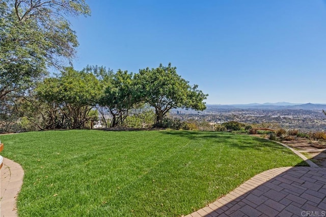 view of yard featuring a mountain view