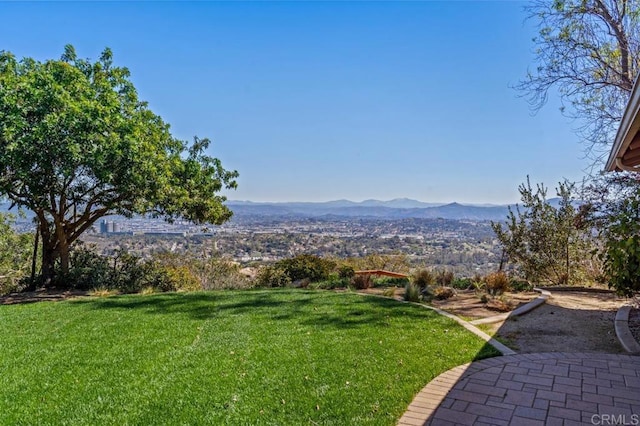 view of yard featuring a mountain view